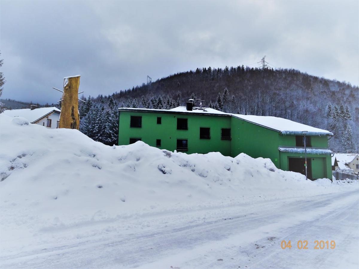Apartmanovy Dum Pastak Loucna nad Desnou Exterior photo